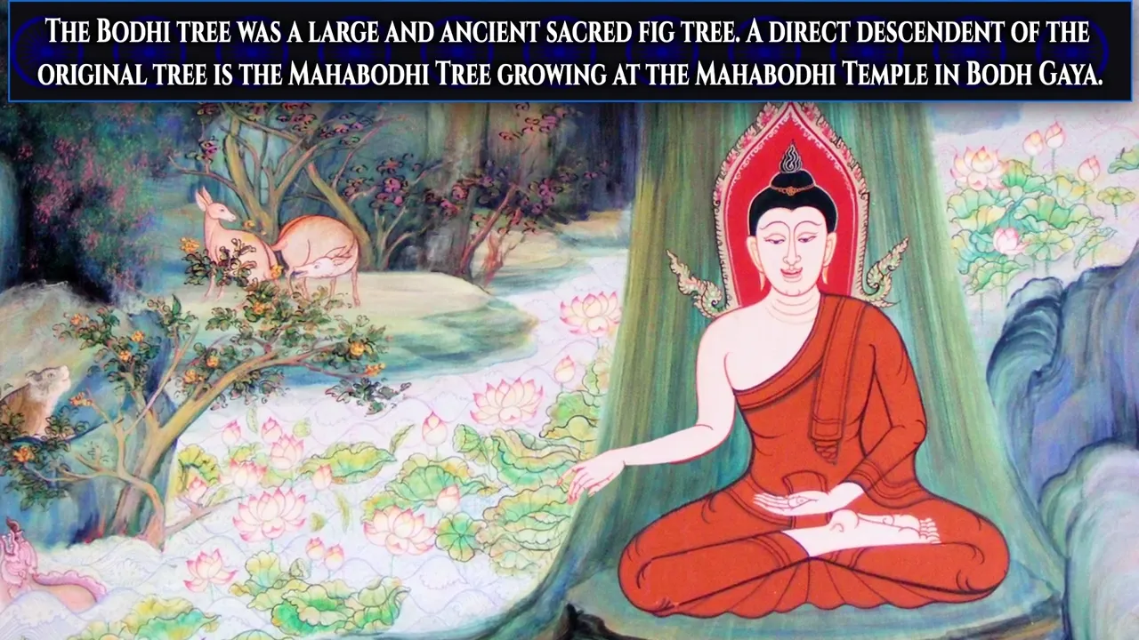 Illustration depicting Buddha meditating under a tree, with text describing the Bodhi tree and Mahabodhi Temple.