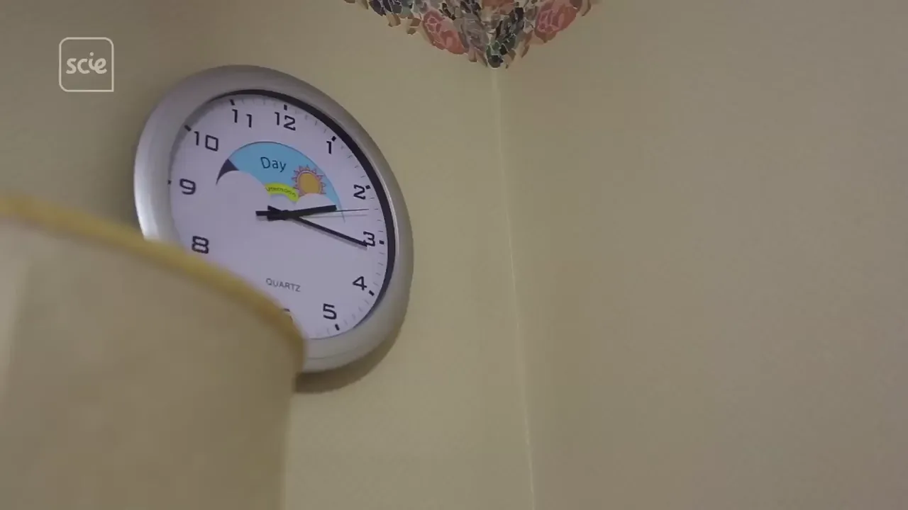 A wall clock with a "Day" indicator and illustrations of the sun and moon is visible. The SCIE logo is in the top left corner.
