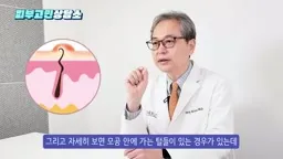 모공 내 털과 염증 다이어그램