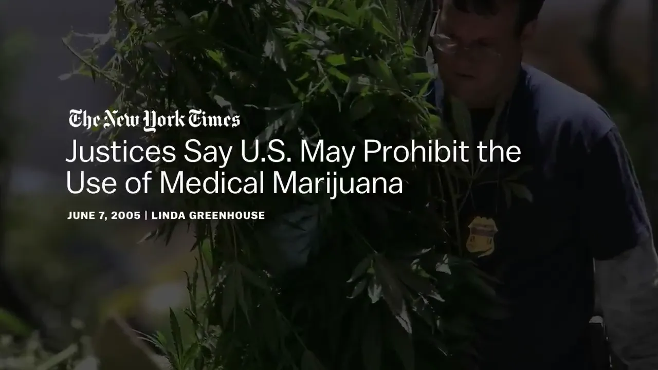 The New York Times headline reads "Justices Say U.S. May Prohibit the Use of Medical Marijuana," dated June 7, 2005.