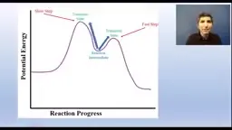 Reaction Energy Profile with Catalyst