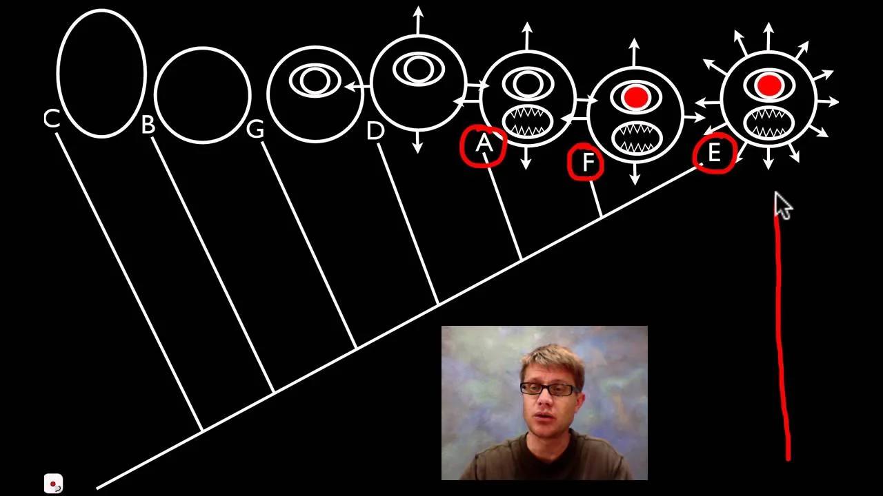 Cladograms