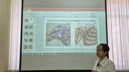 Схема подмышечной области